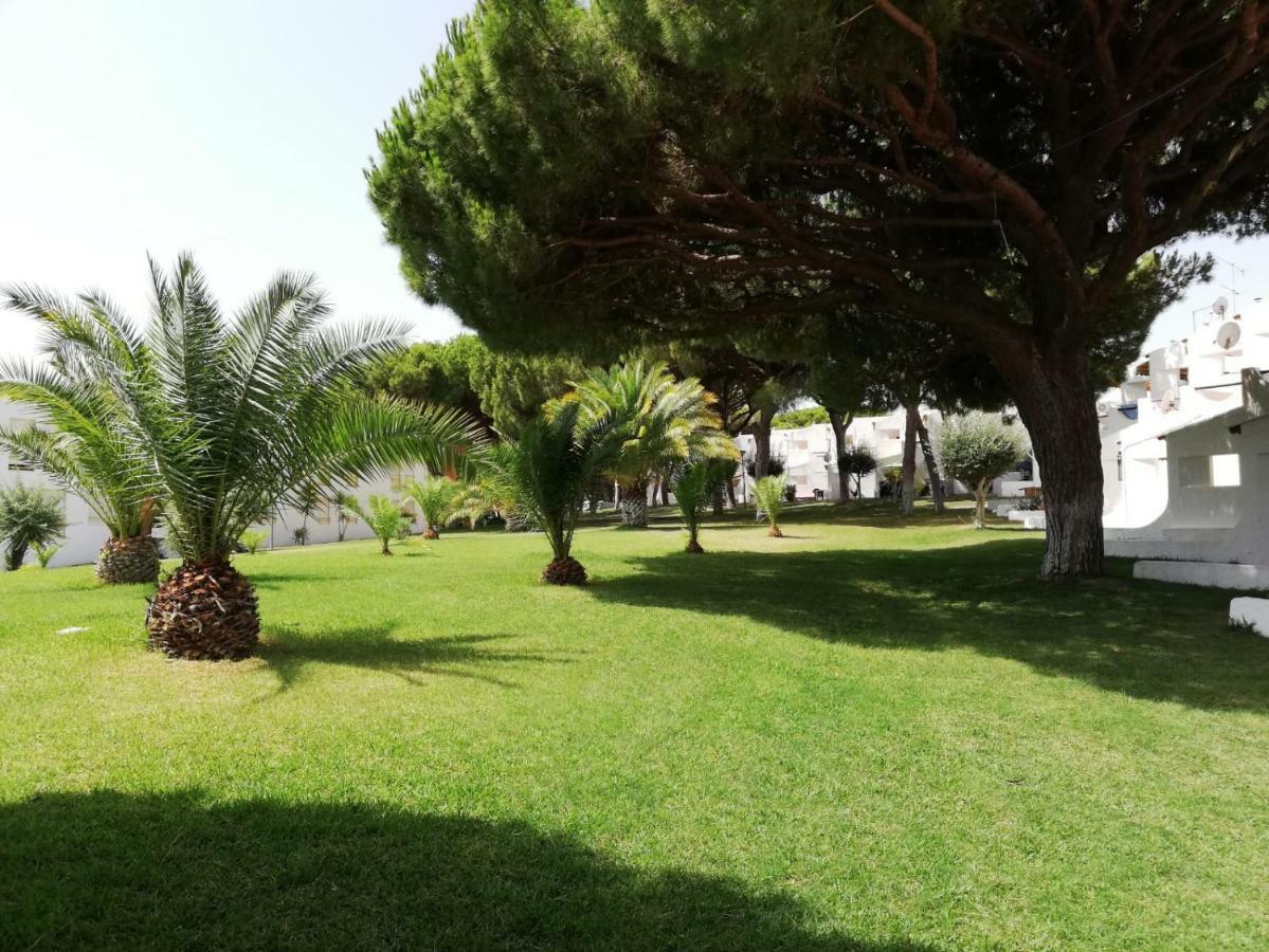 Arvore Da Vida Albufeira
