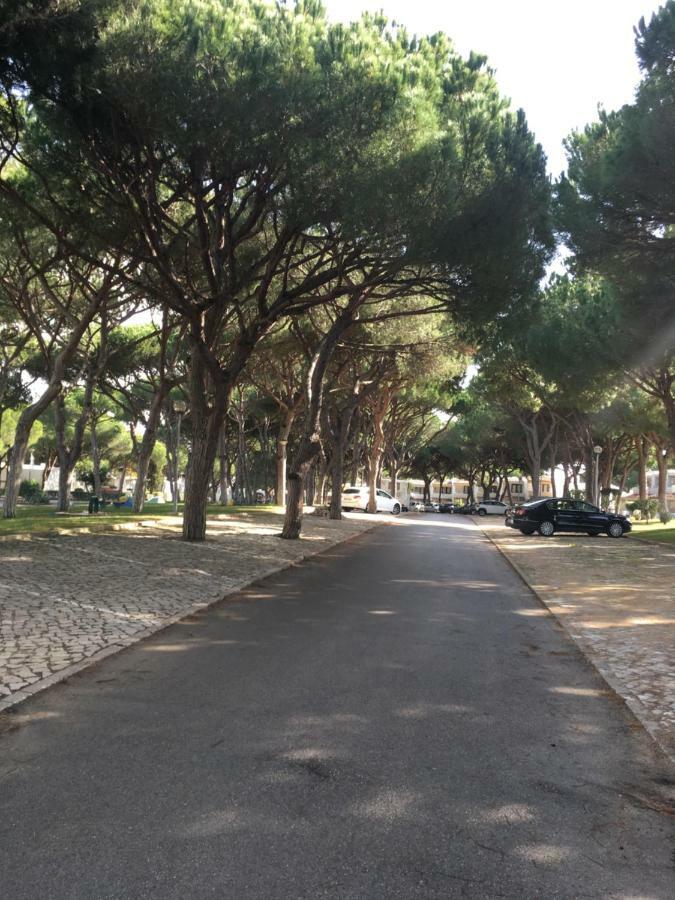 Apartamento Passarinhos