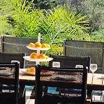 Villa Ray Design