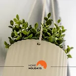 #163 Dr Jose Silva 17 By Home Holidays