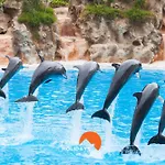 #011 T1 Libertos By Home Holidays