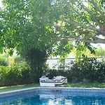Buganvilla
