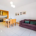 Barracuda Oura Dream Apartment