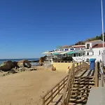 Pomba Branca