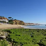 Pomba Branca