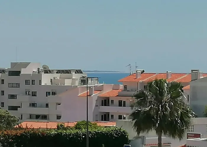 Ninho 29
