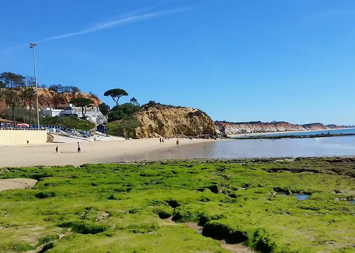 Vista Das Ondas Olhos De Agua