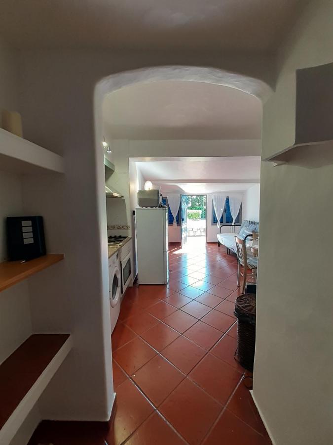 Apartamento New In Balaia Gardens
