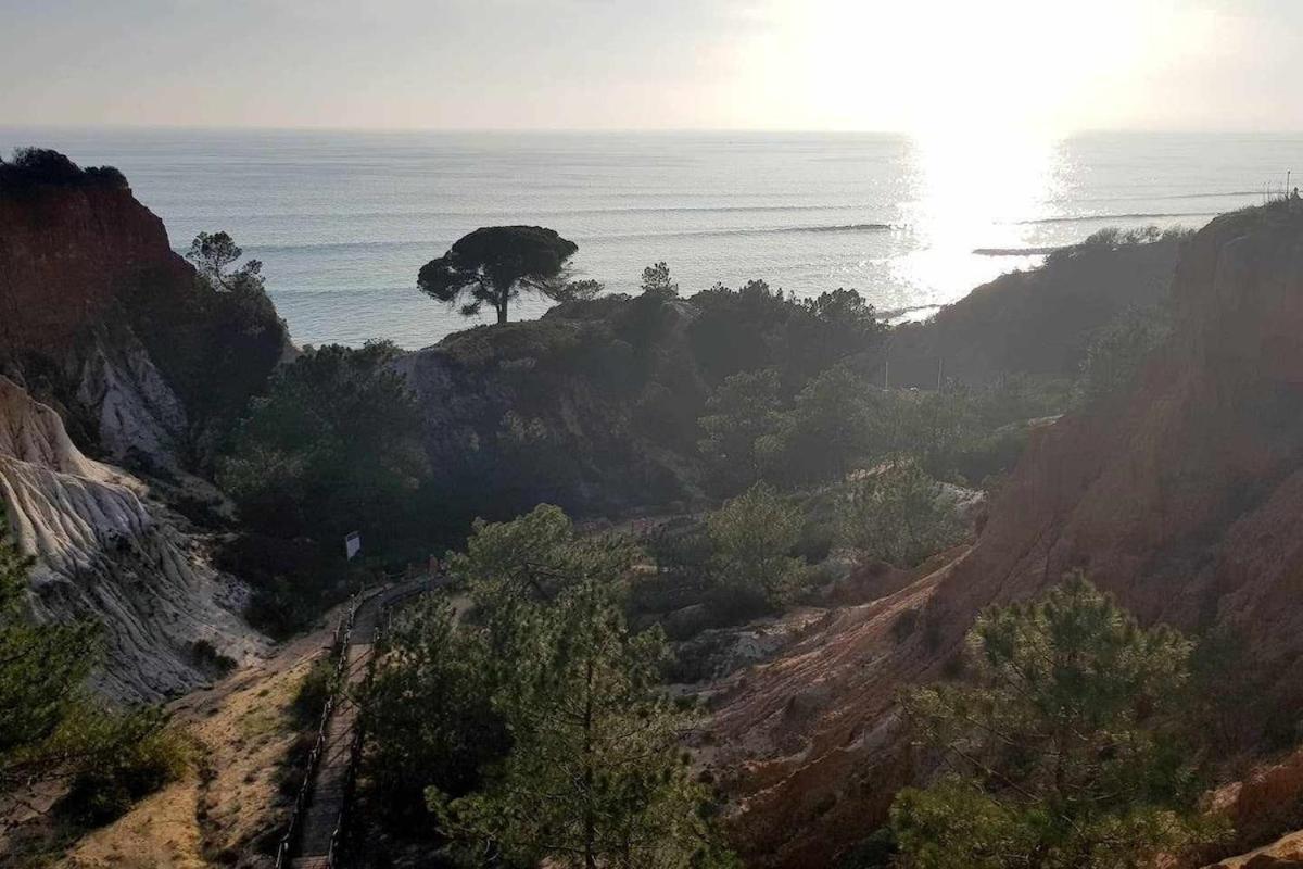 Albufeira, Cerro Branco