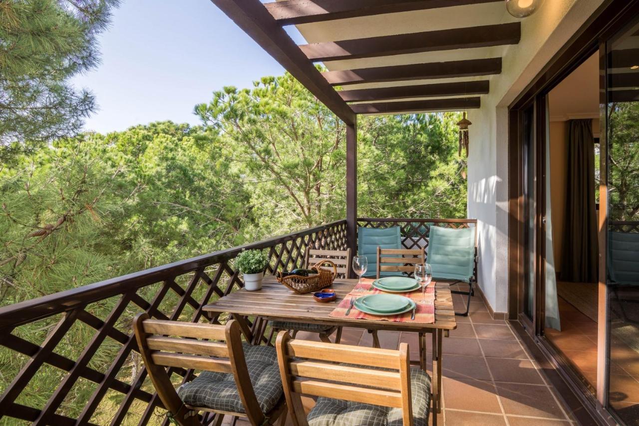 Falesia Pine Spot Apartamento