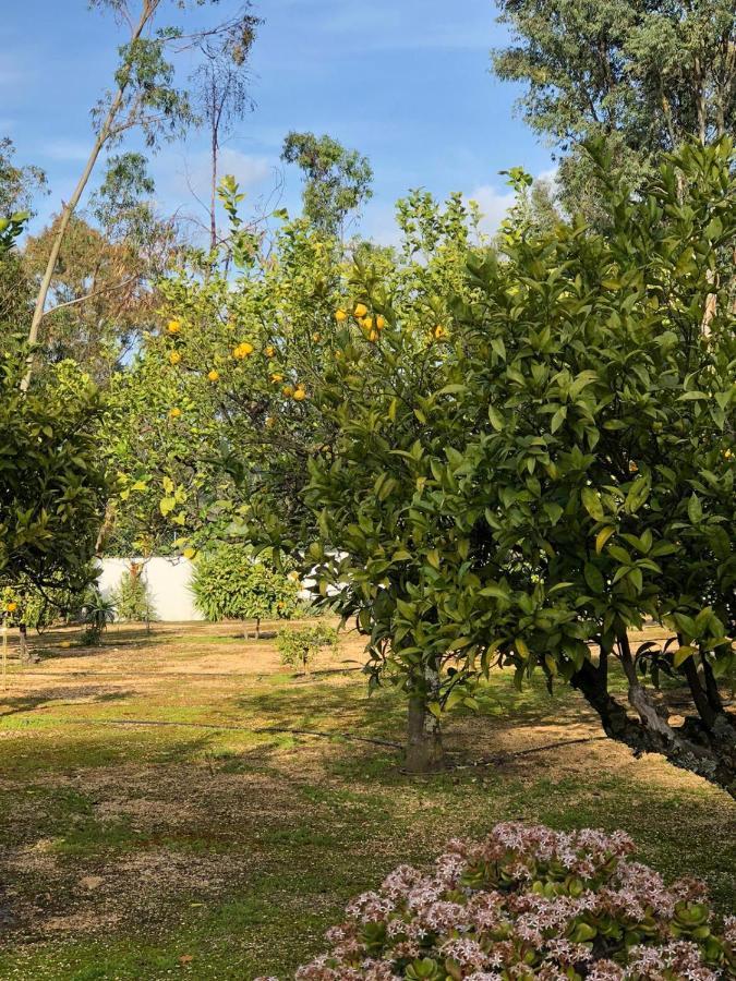 Quinta Holiday home