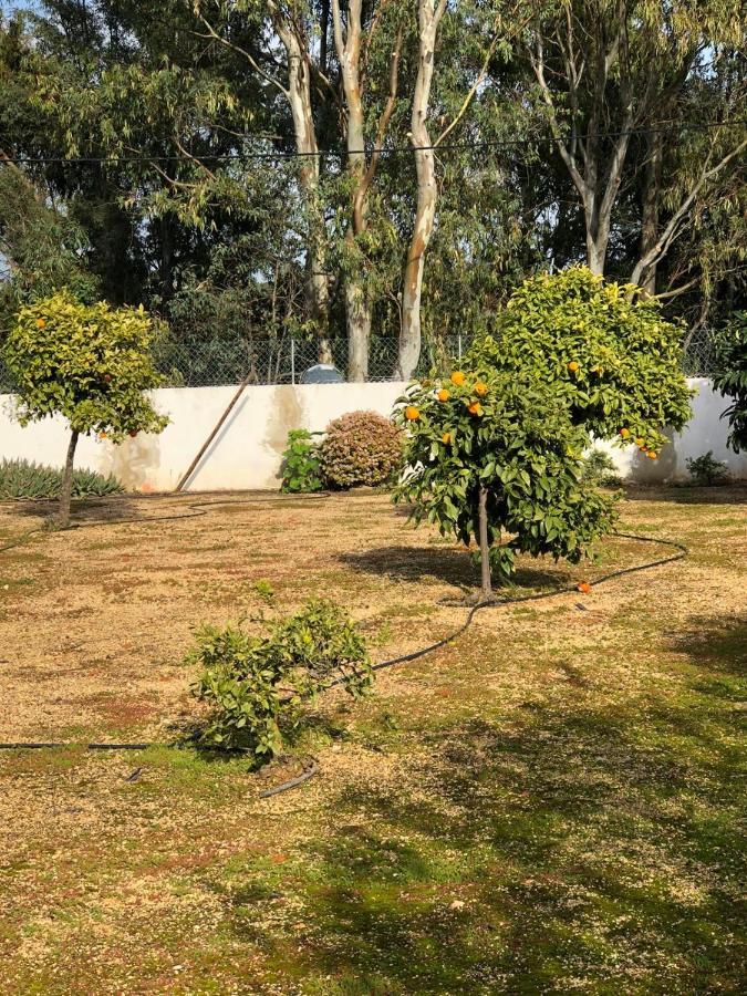 Holiday home Quinta Albufeira