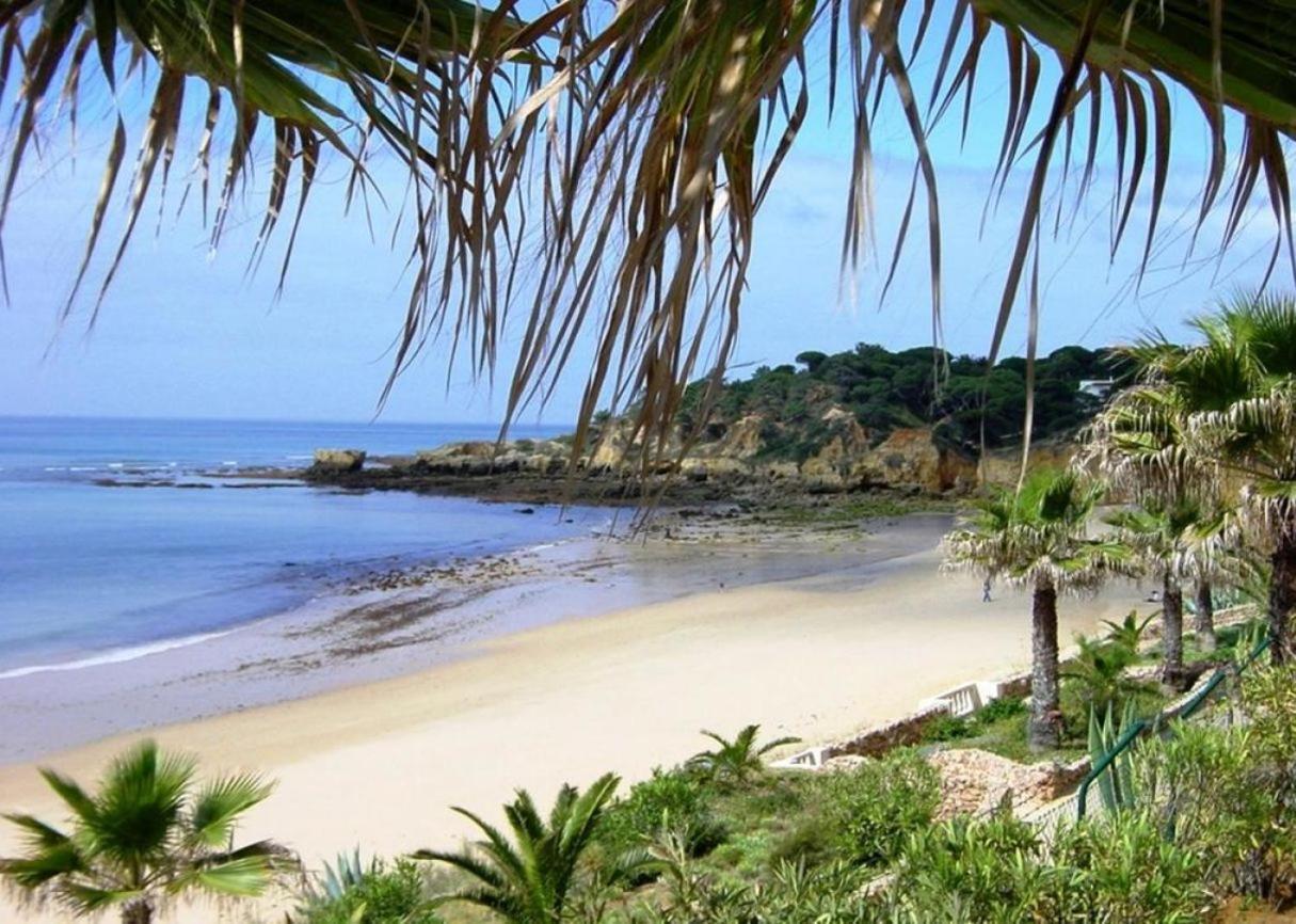 67 Albufeira
