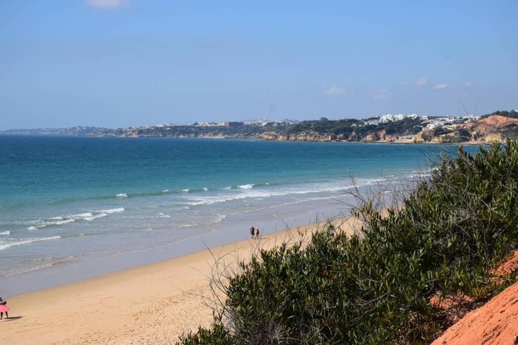 Pedro Do Mar Praia Da Falesia Apartamento