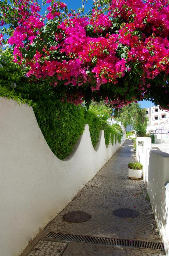 Holidays - Ferias De Sonho Apartment