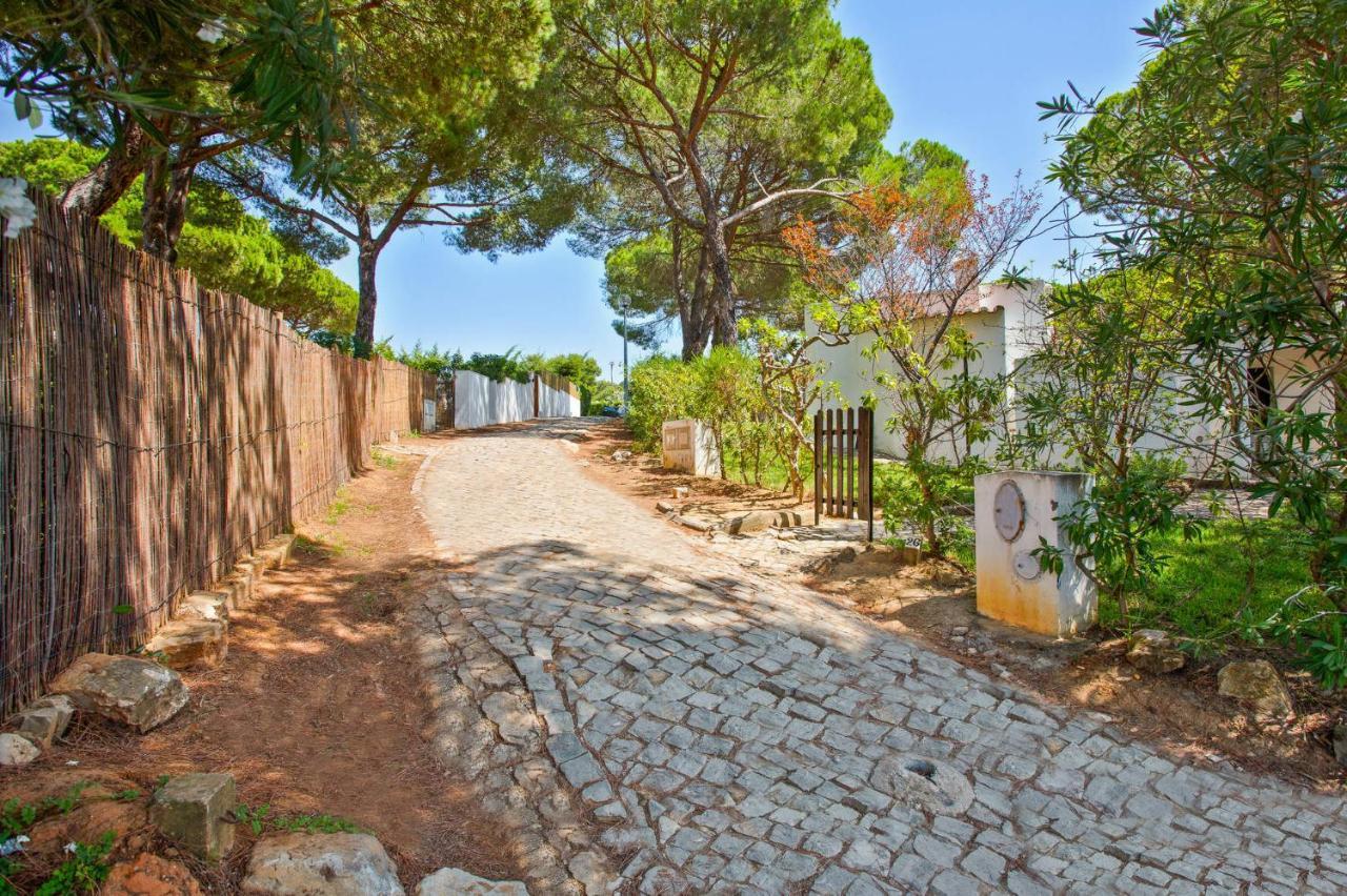 Namibe Na Quinta Da Balaia *