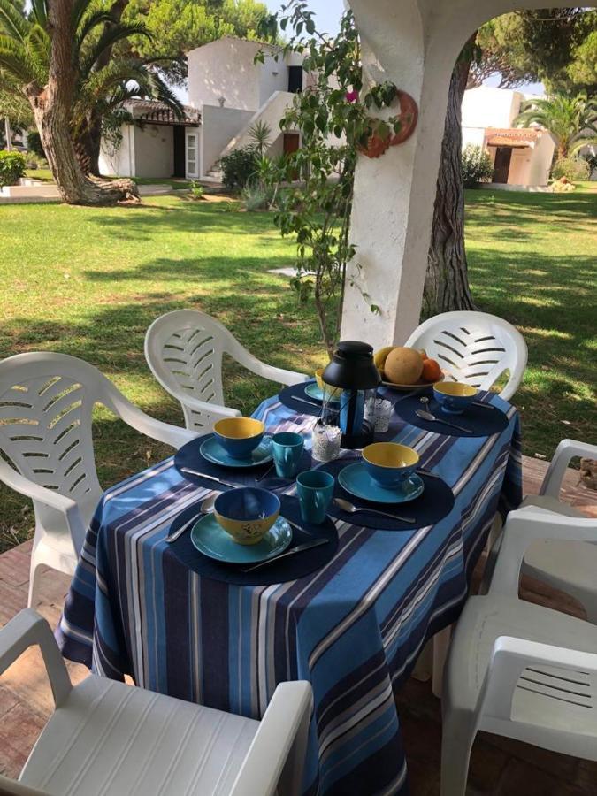 Apartment Amazing Algarve - *