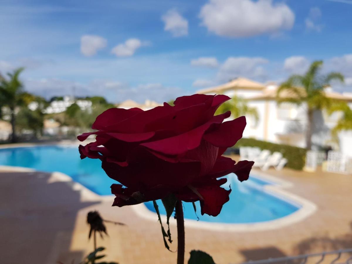Pousada Sergio S Place - Farm Village - By Algarkasa Albufeira