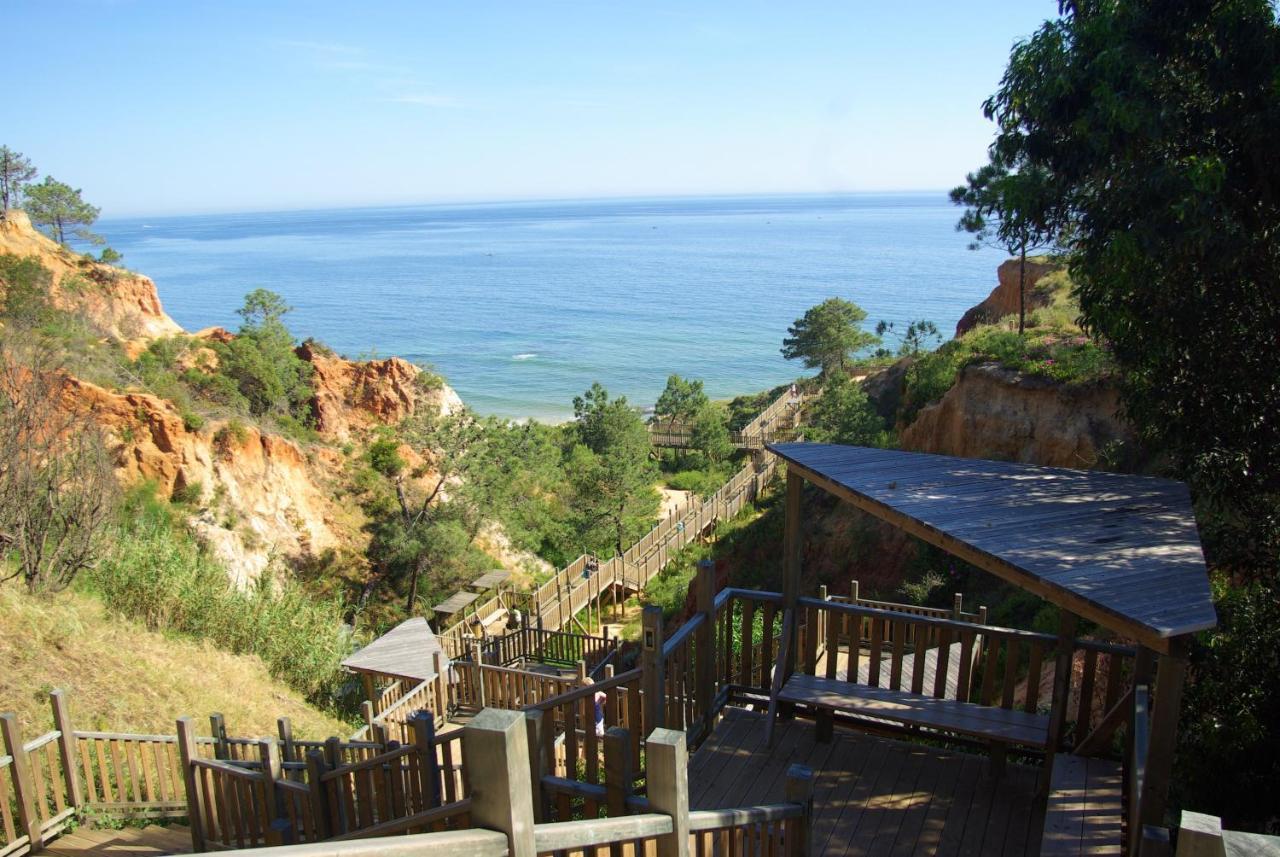 Charming In With Shared Pool Apartamento Albufeira