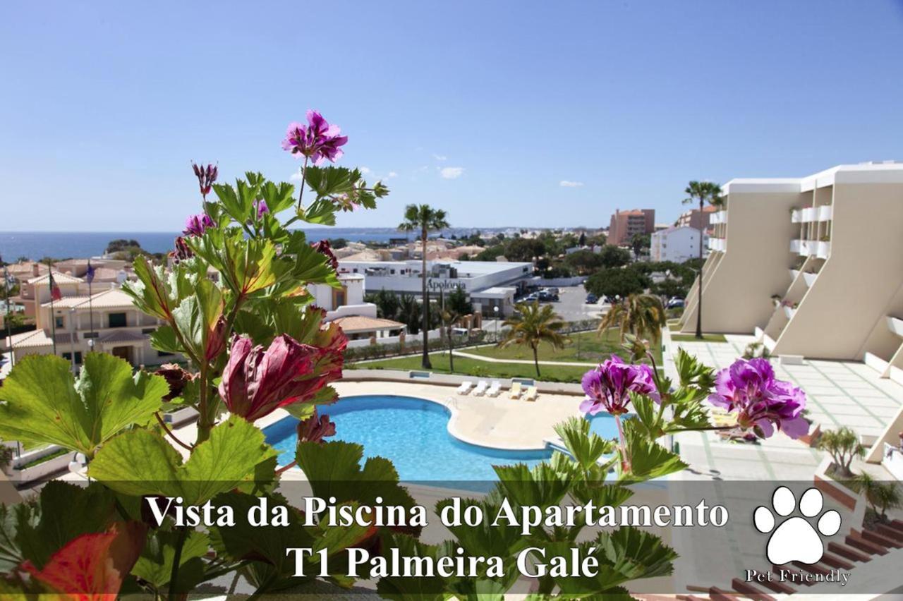Ramos Palmeira Gale: Beachside With Pool And Smart Amenities Apartment Albufeira