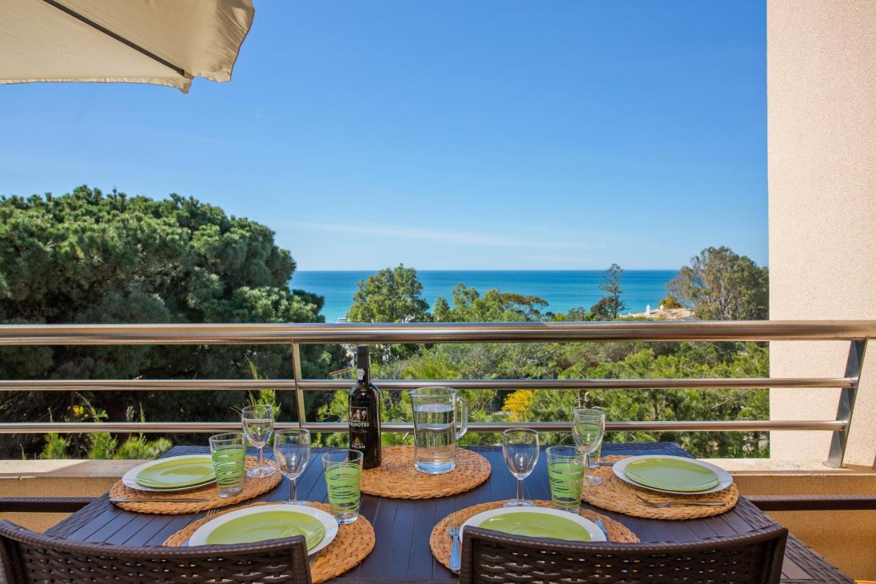 Beach Front Barracuda *