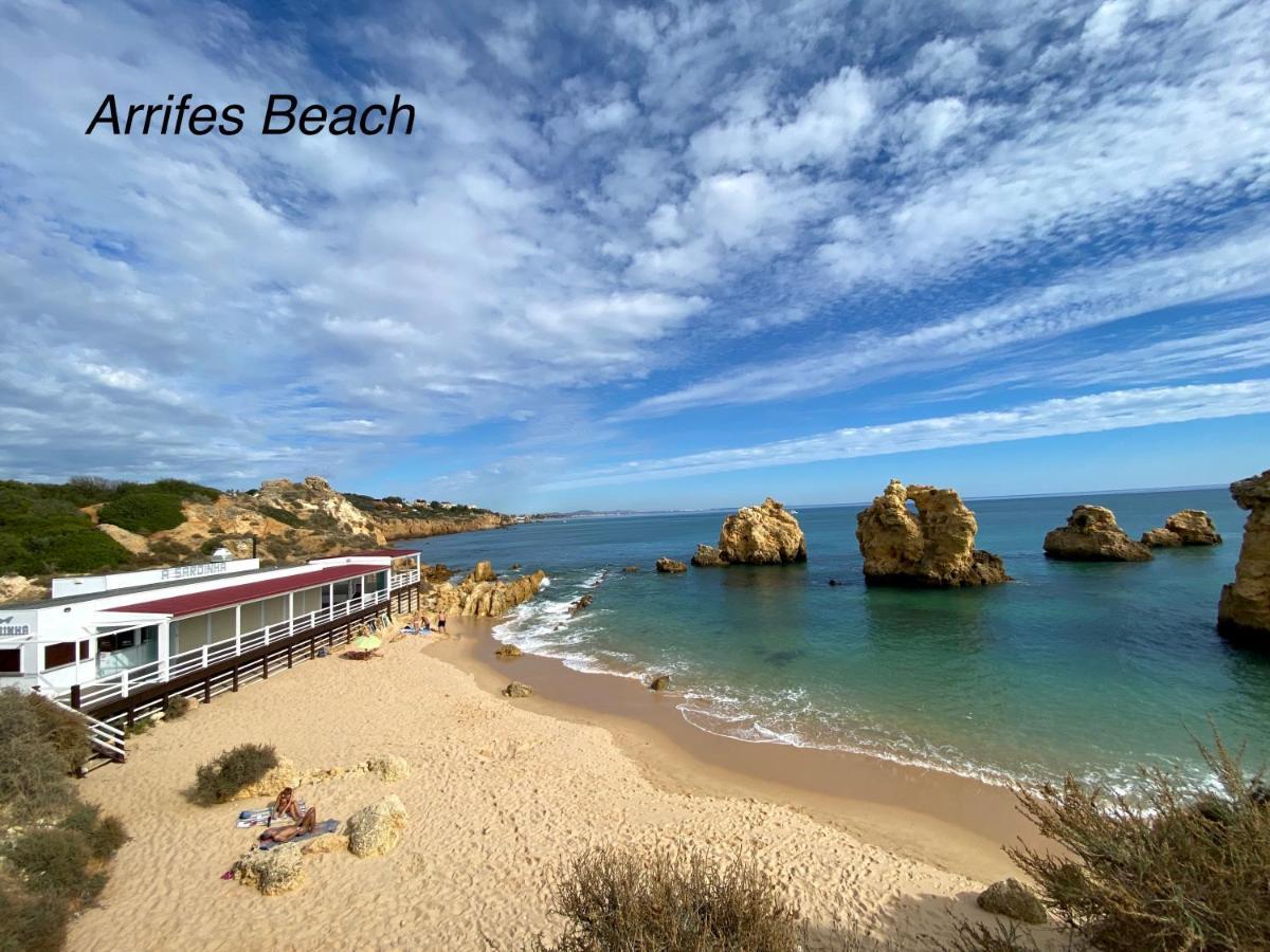 Apartment Apt. 65, Premium Location, Beach&swimming Pool