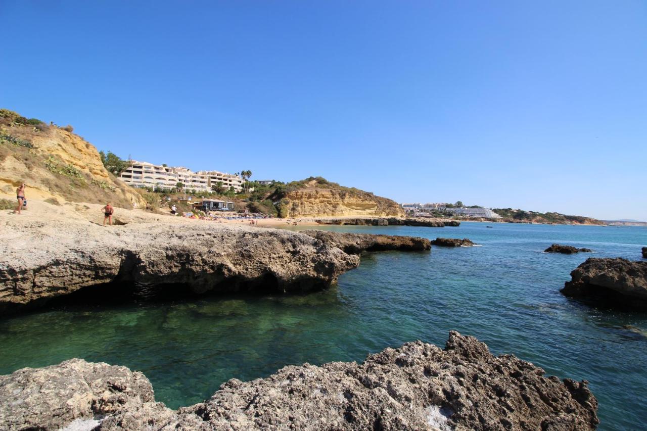 Magnifique Sur La ...