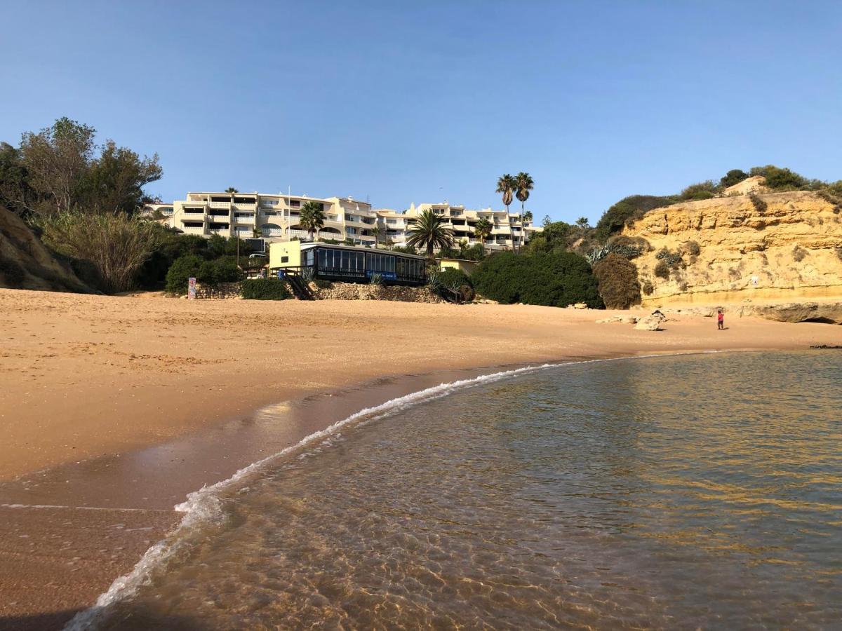 Magnifique Sur La ... Albufeira