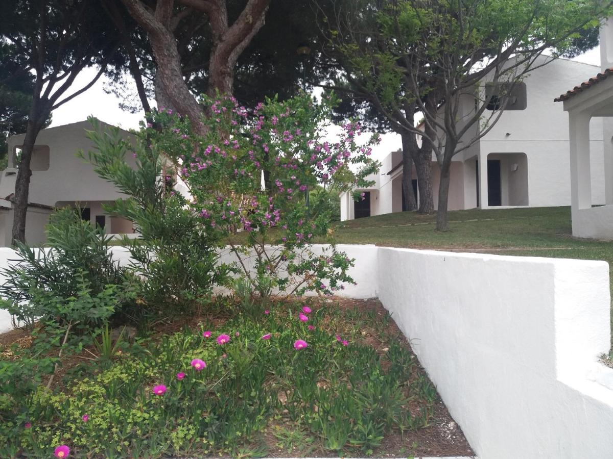 Aldeia Da Falesia Apartment *