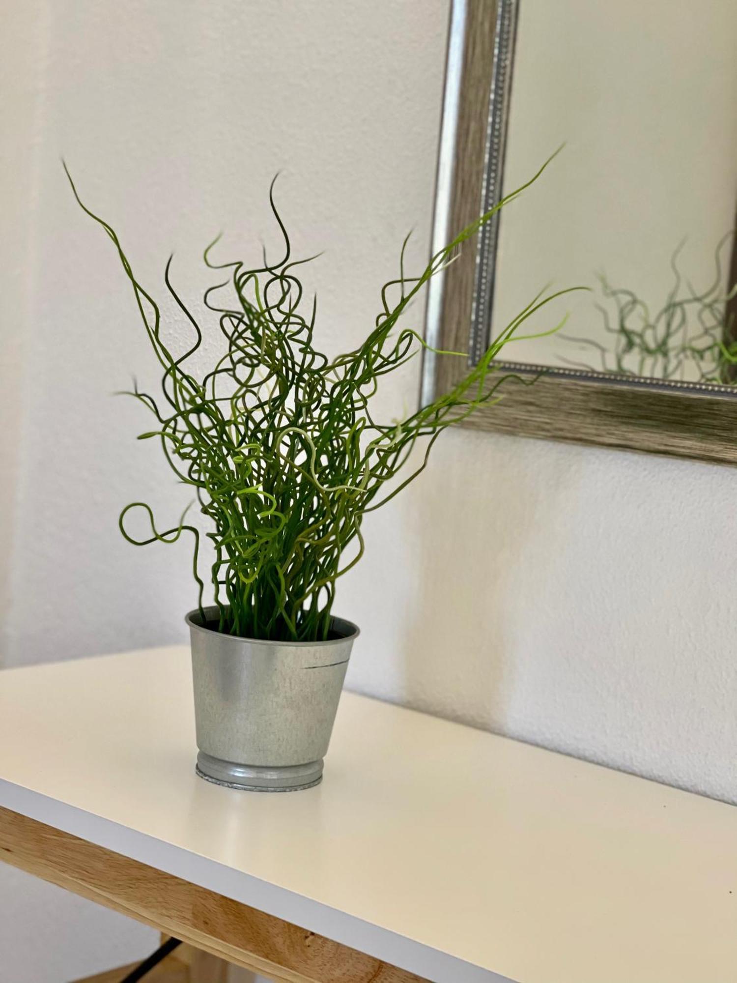Vakantiehuis Cristina 9 *