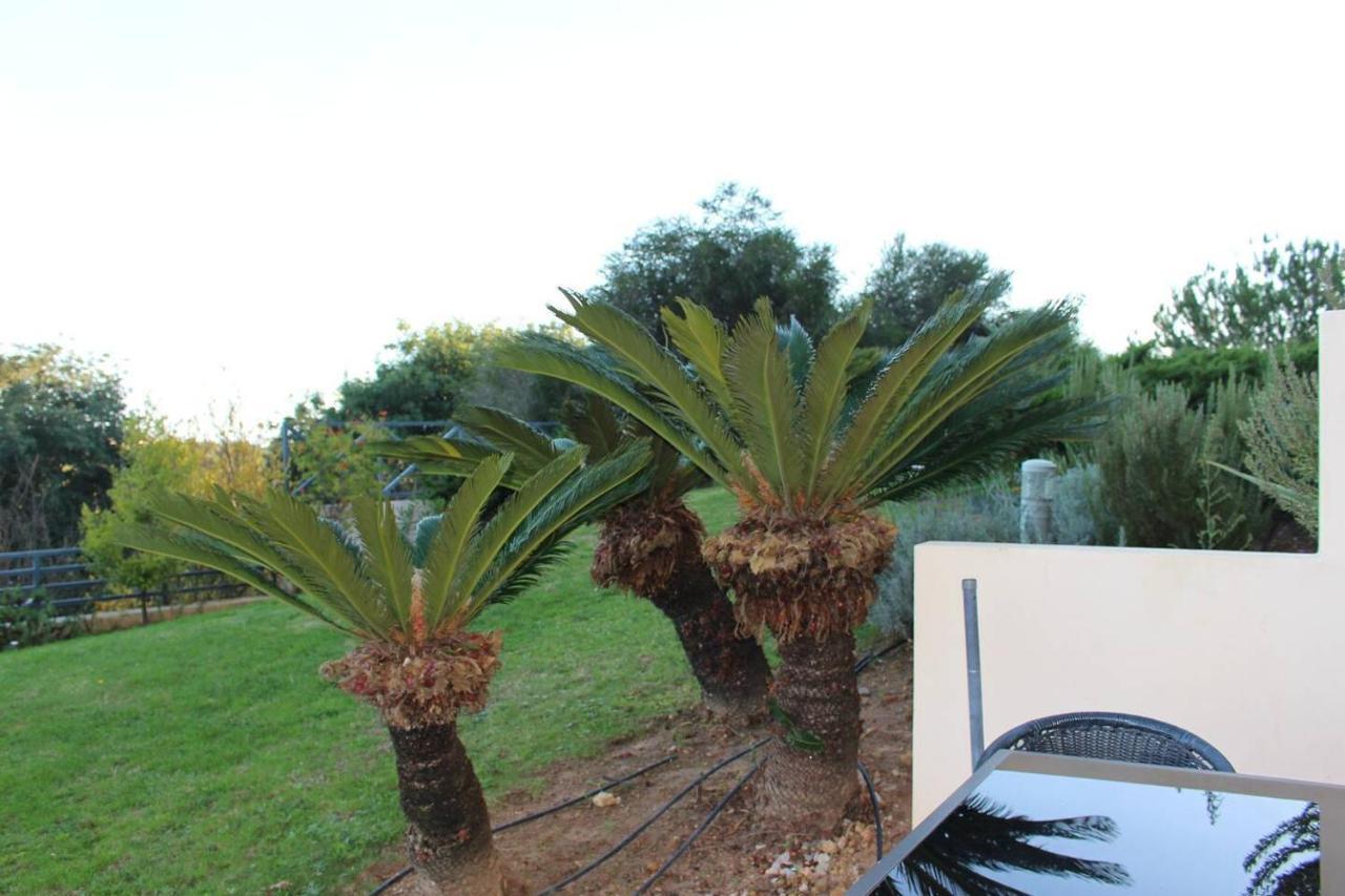 Charming 3-bed In *