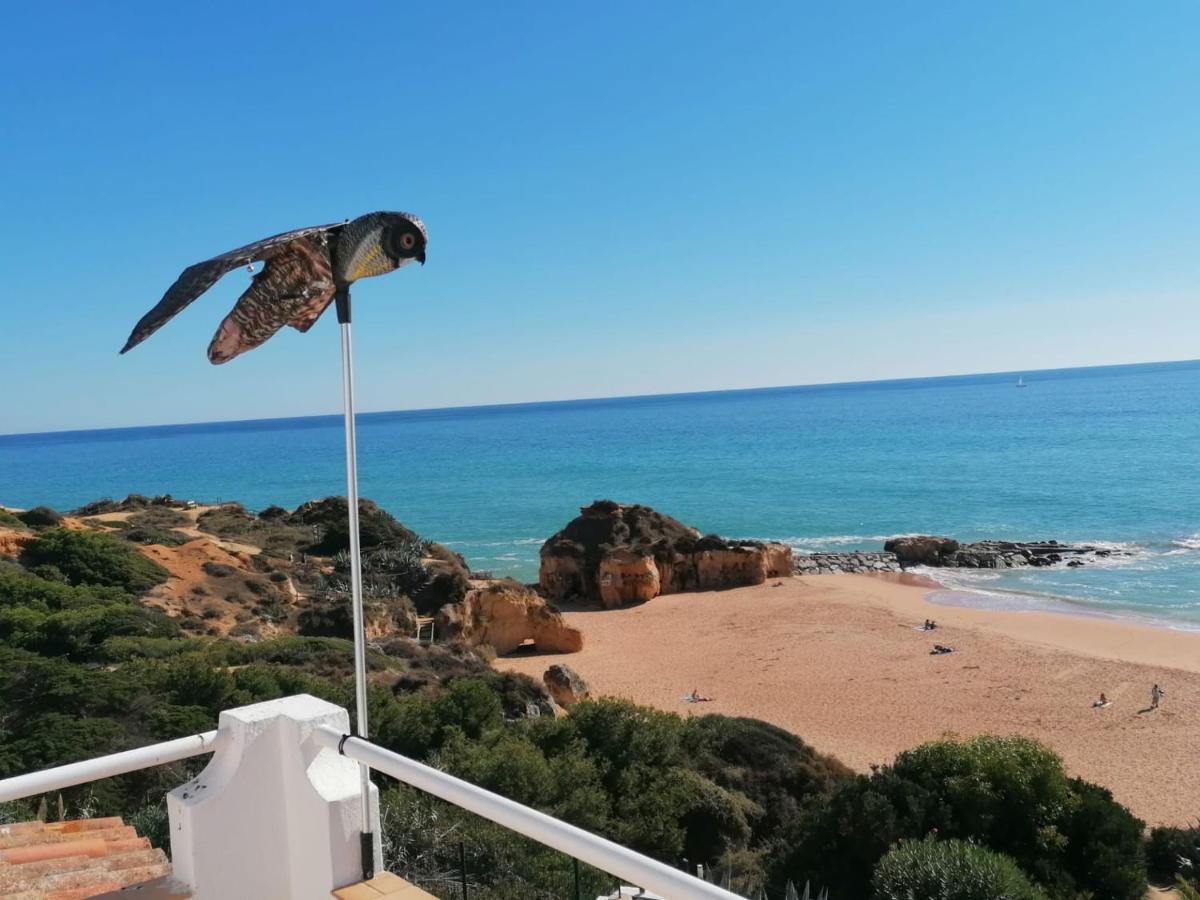 Villa Beira Mar By Check-in Portugal Albufeira