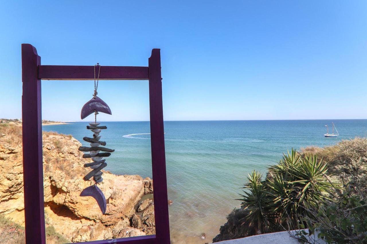 Studio Jardins Do Mar