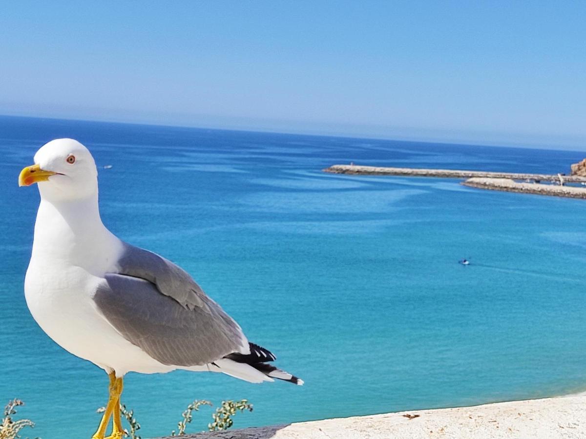 Alzira By Rossio Albufeira
