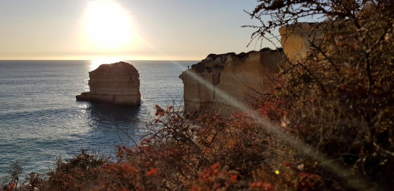 Apartamento Magnific With A Cozy Garden, 5 Minutes To The Albufeira