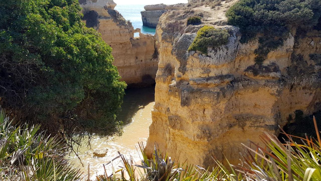 Magnific With A Cozy Garden, 5 Minutes To The Apartamento Albufeira