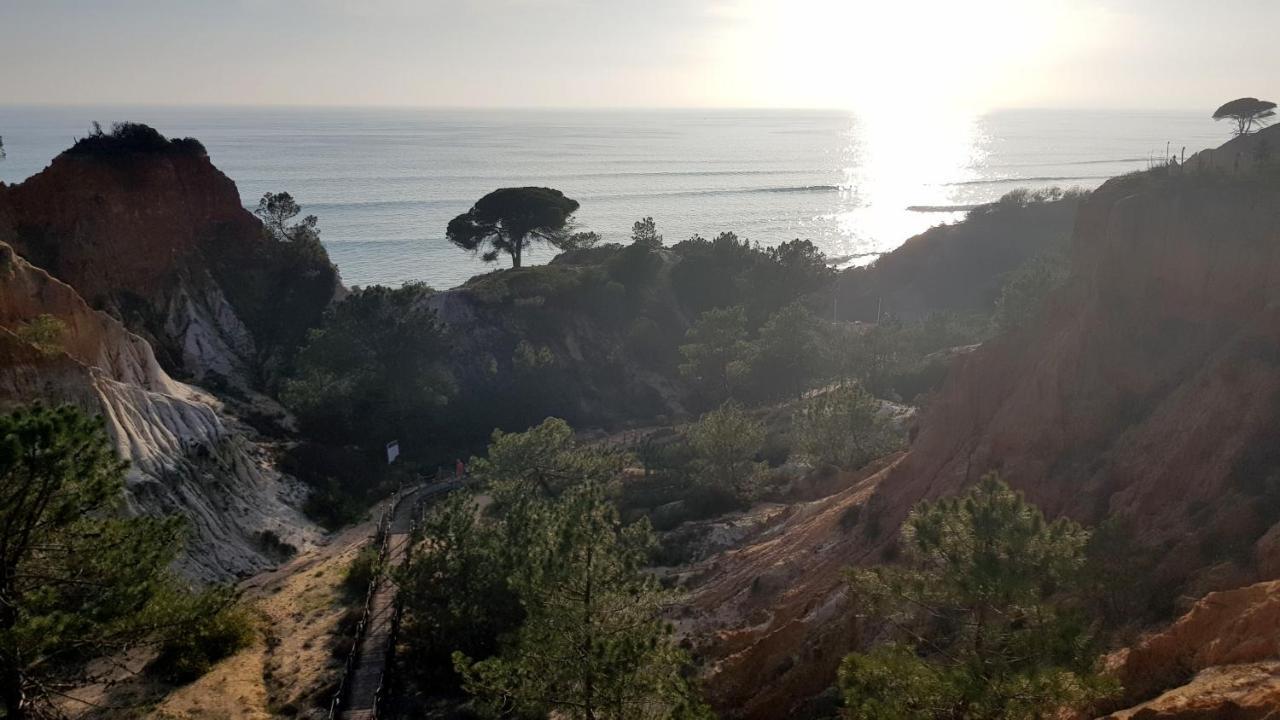 Magnific With A Cozy Garden, 5 Minutes To The Albufeira