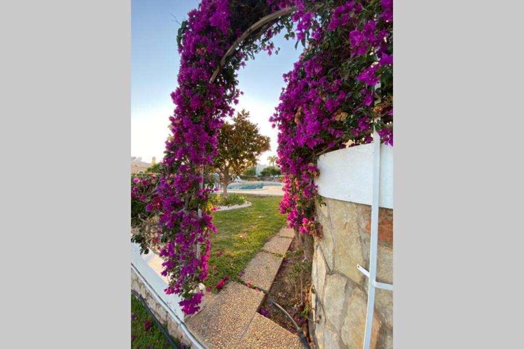 Marina Villa *