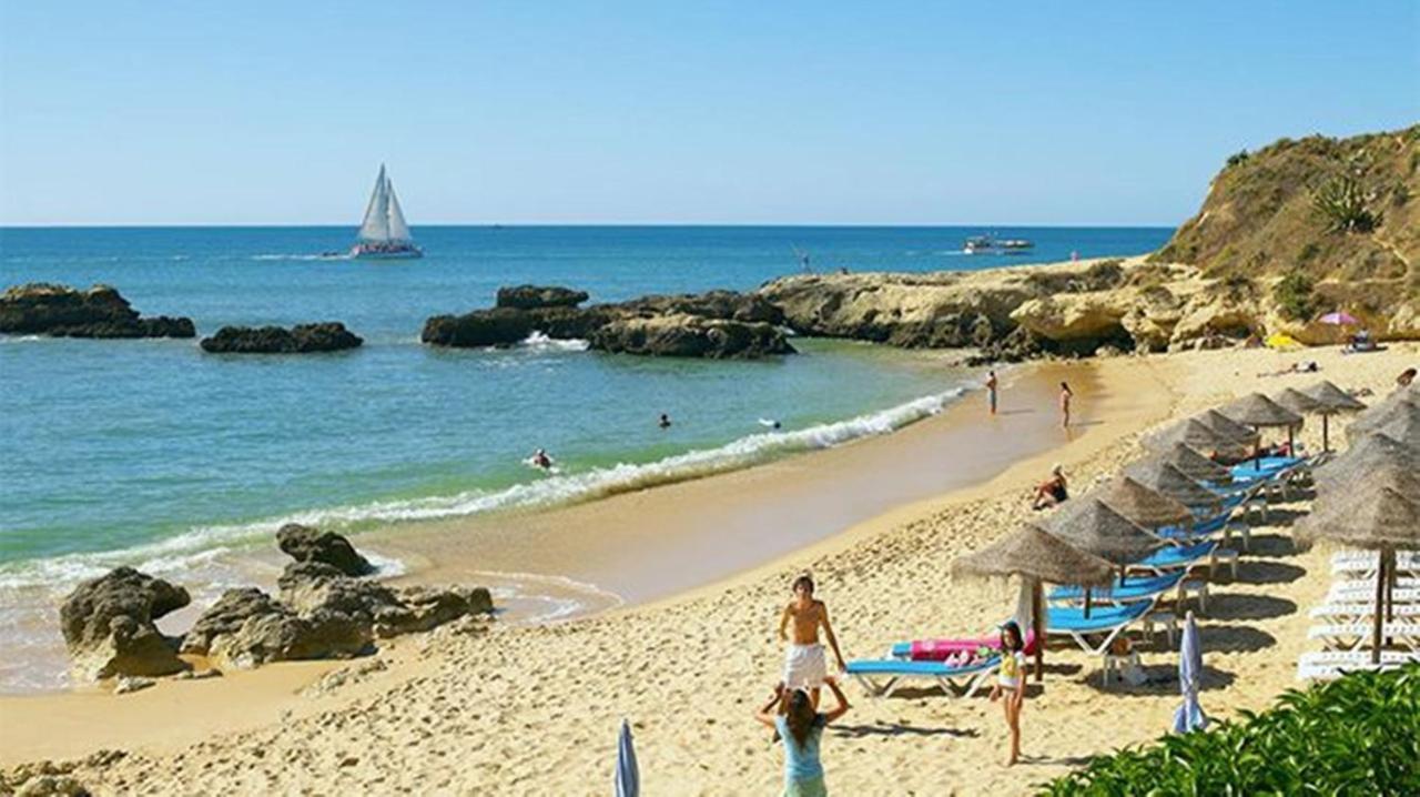 - Dolamar T1 *