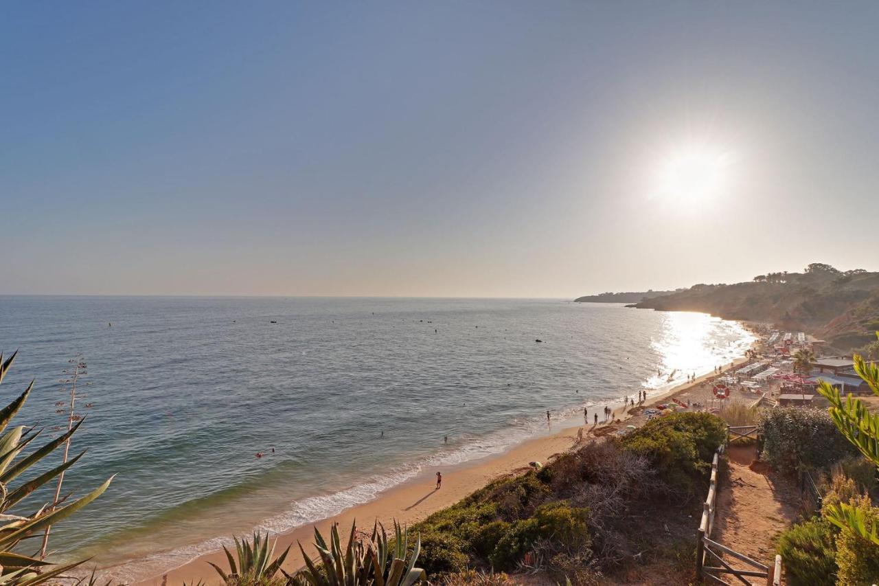 Typical With Pool By Homing Apartment Albufeira