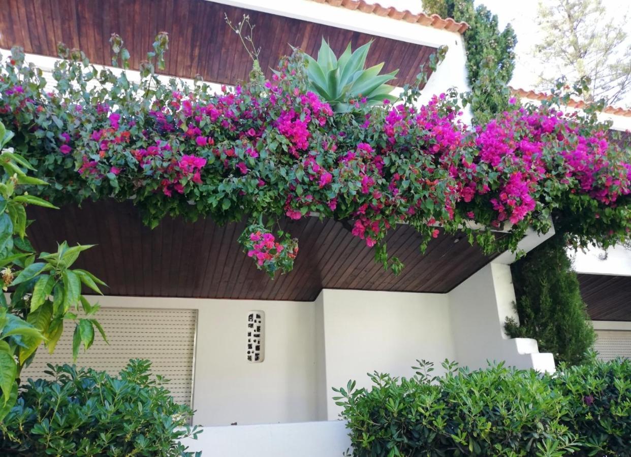 Solar De Sao Joao Aparthotel