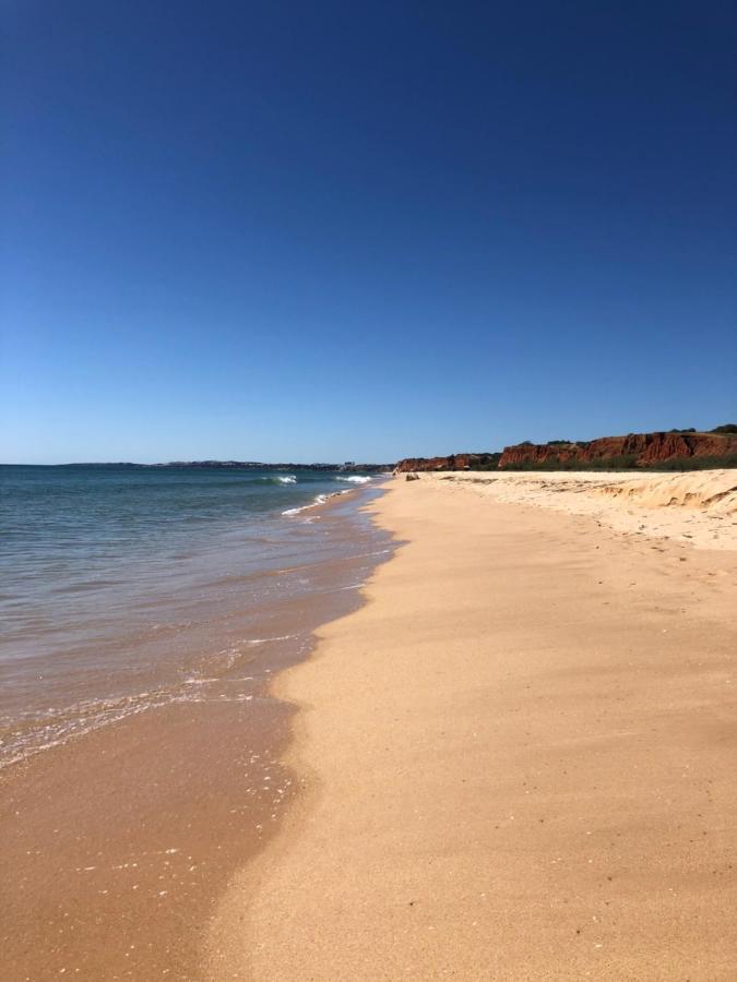 Apartment Gil Eanes Ocean View Nautical *