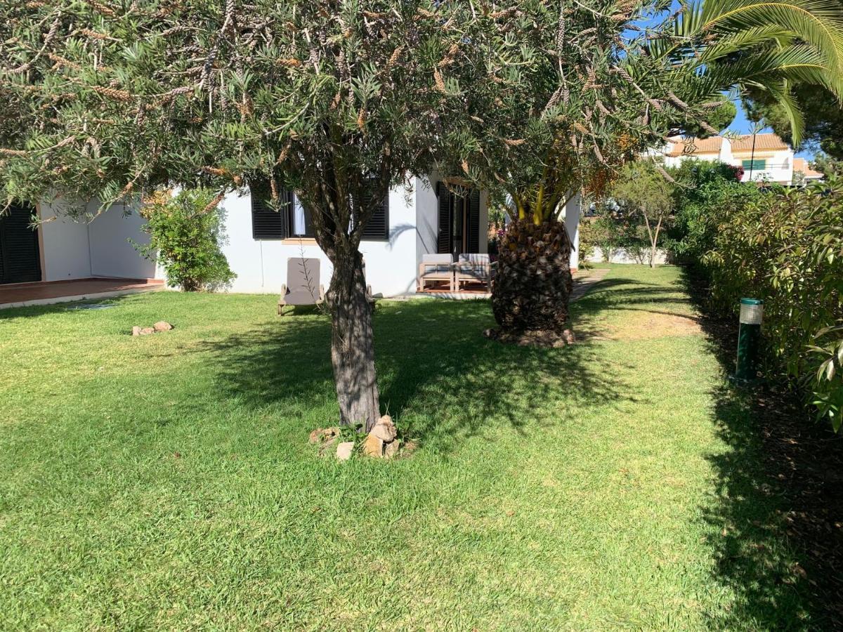 Apartment Falesia 25 *