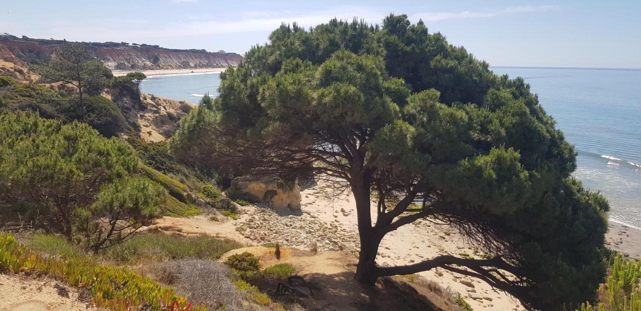 Apartamento Casa Da Albufeira