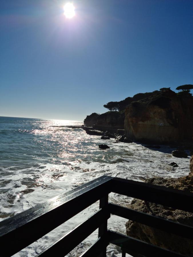 Cabrita * Albufeira