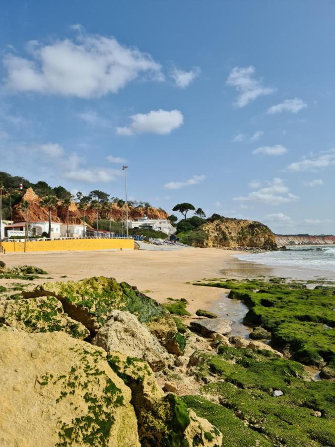 Vista Ondas