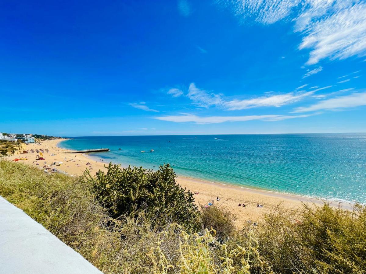 Ocean View Skyline ‚hakuna Matata' Apartment
