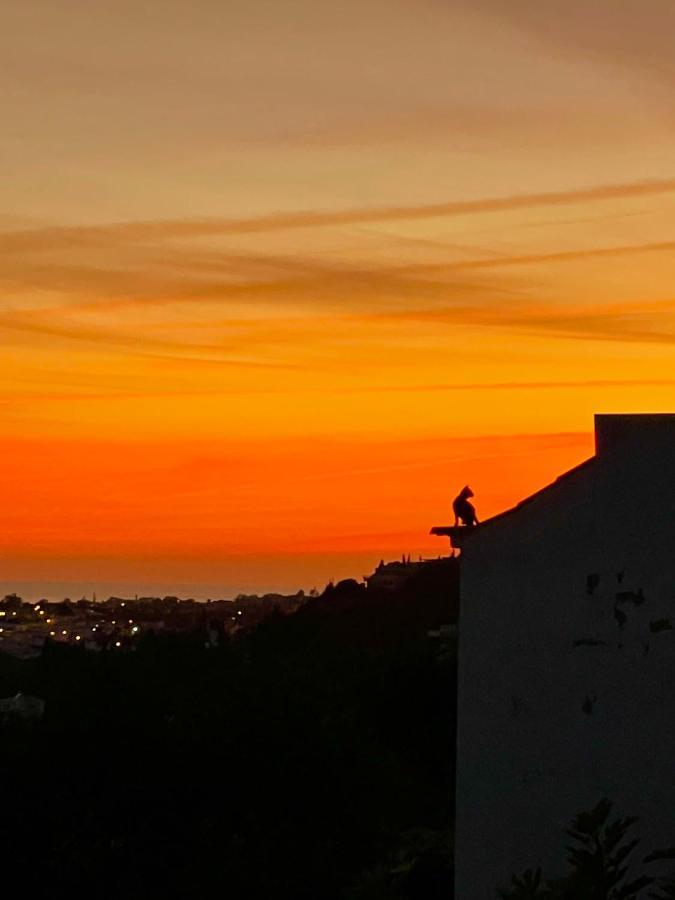 Ocean View Skyline ‚hakuna Matata' Apartment