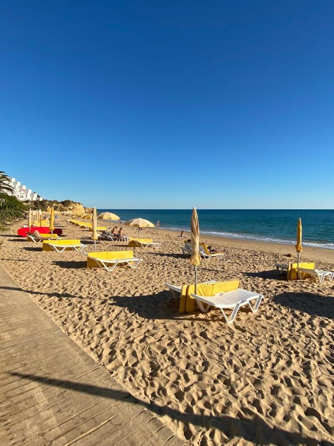 New Algarvegas Paradise