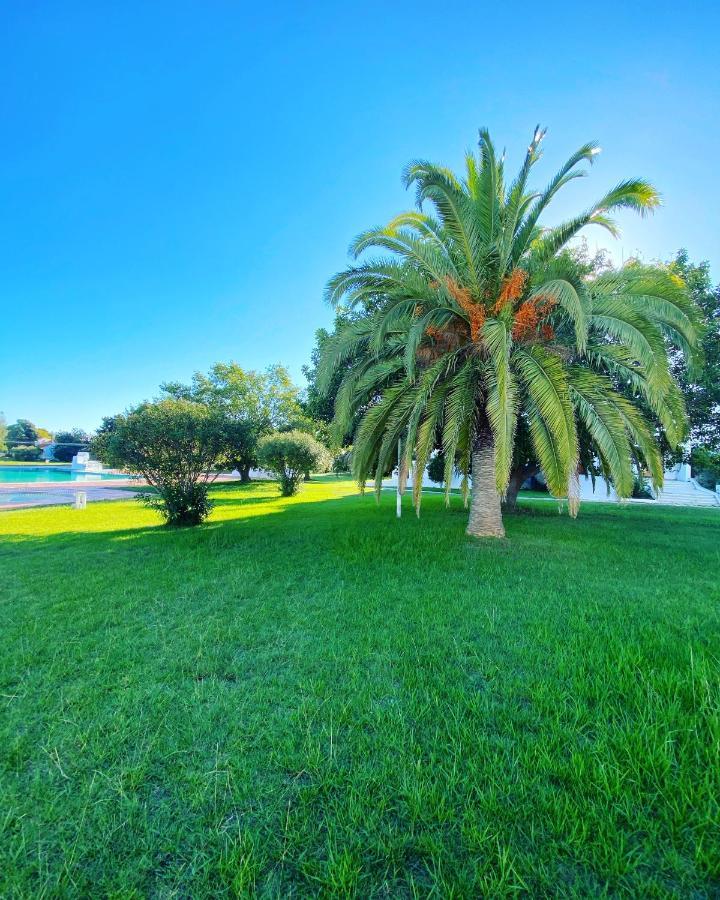 New Algarvegas Paradise *